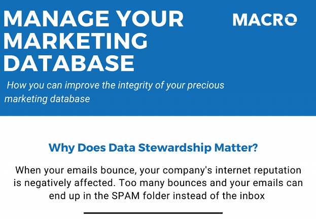 Marketing Database Infographic