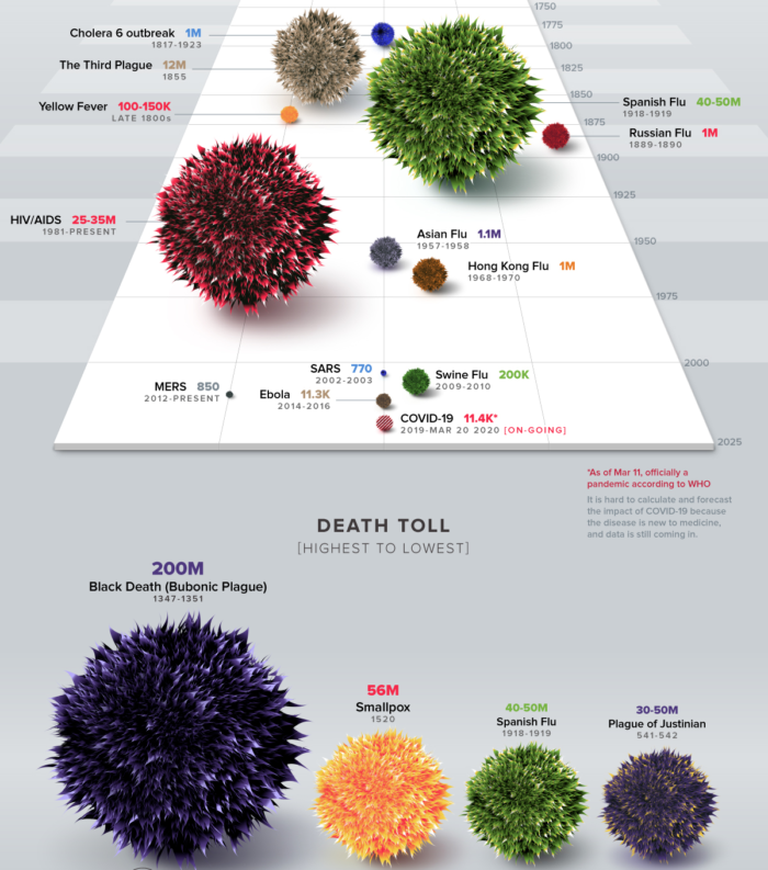 visual capitalist infographic screenshot